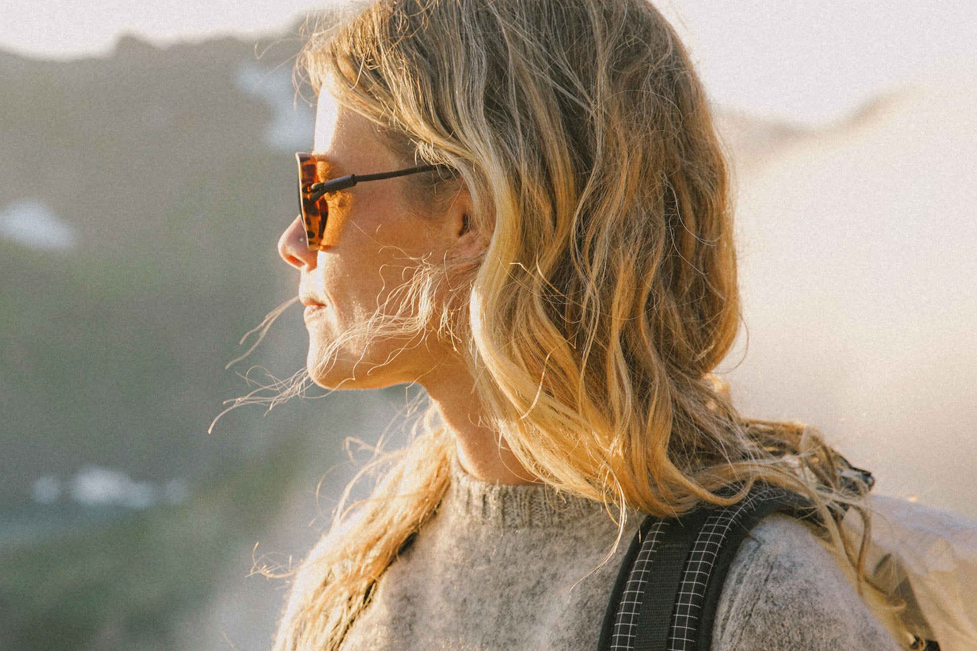 teton_tortoise_brown