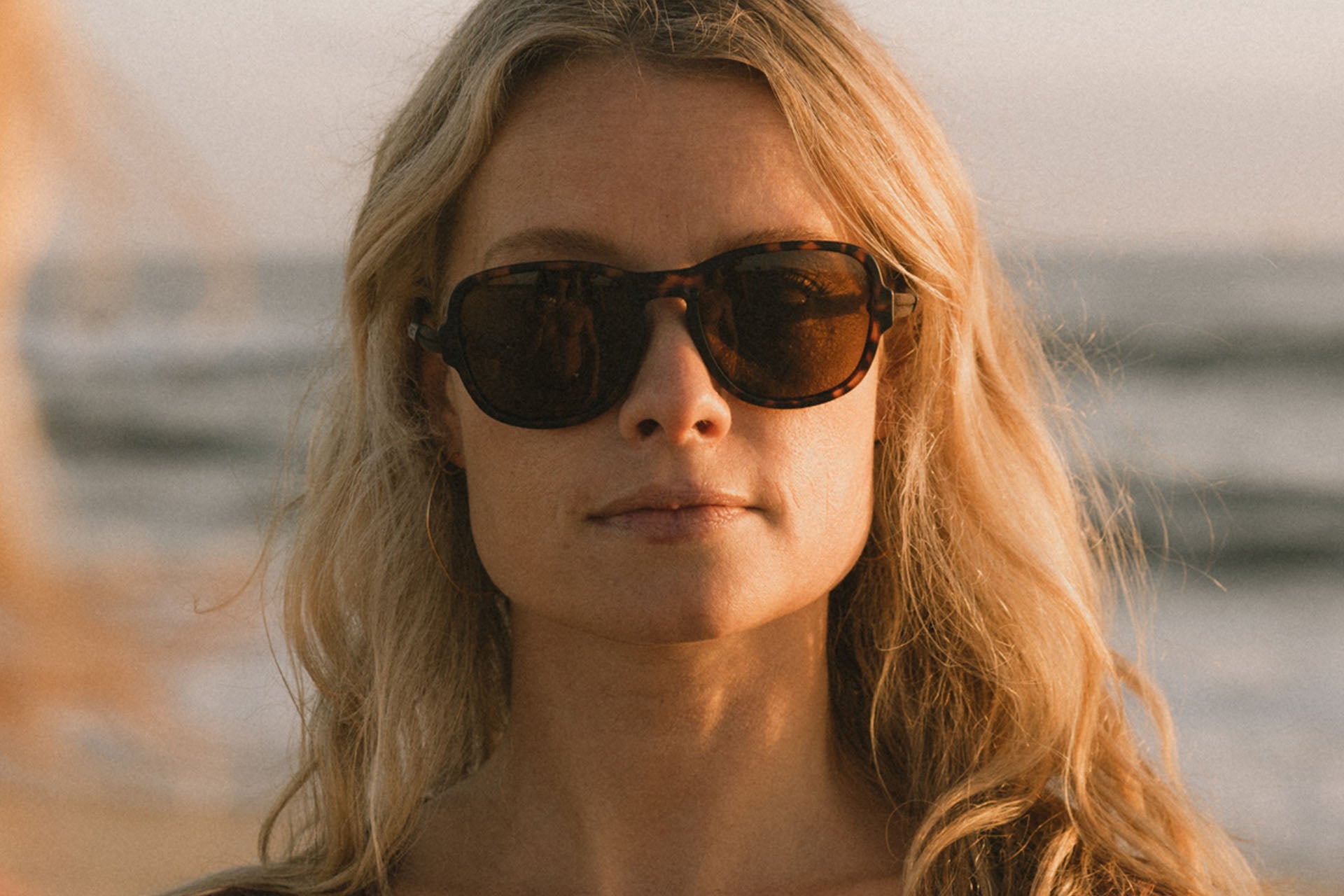 teton_tortoise_brown