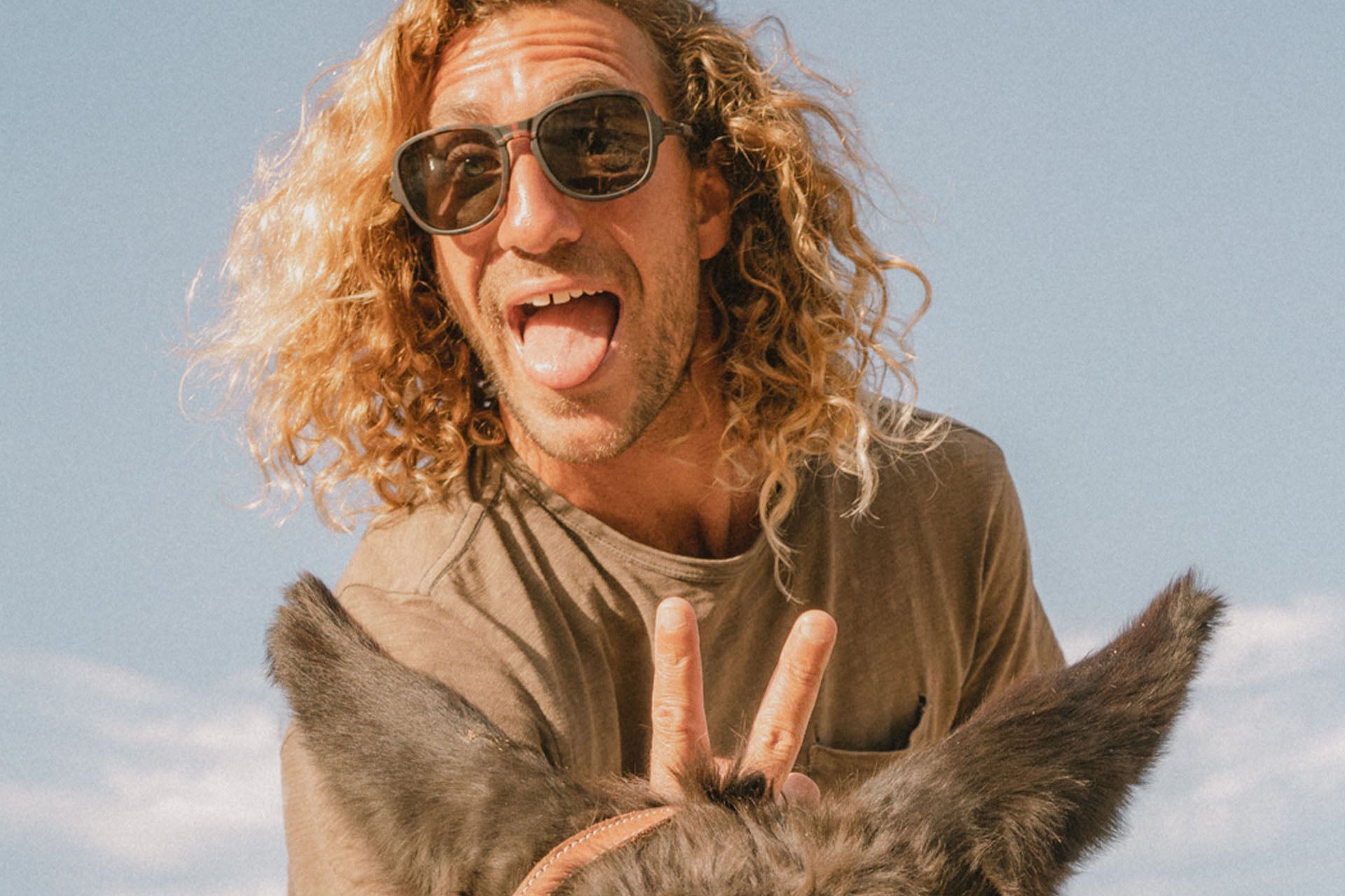 teton_tortoise_yellow