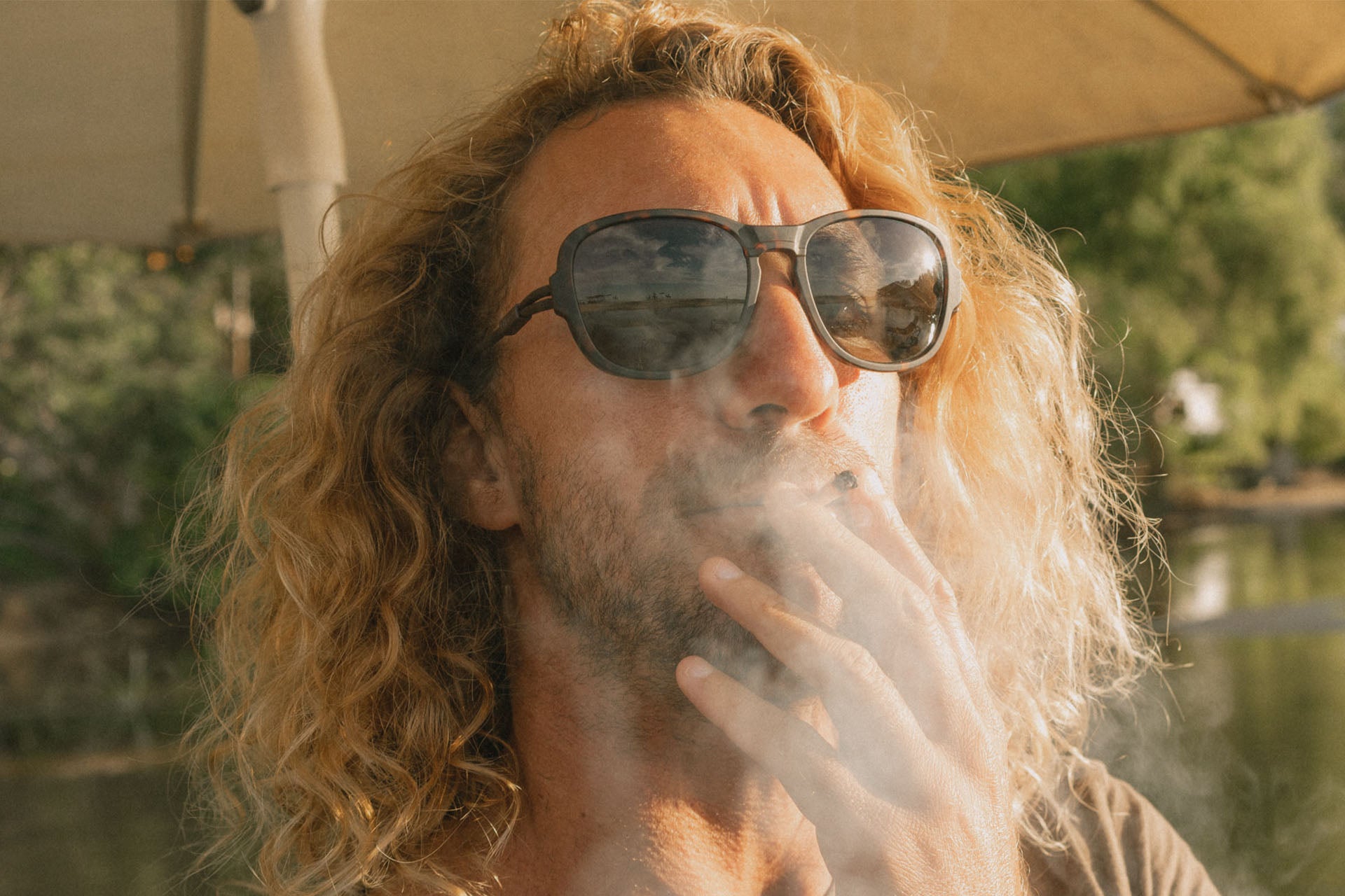 teton_tortoise_yellow