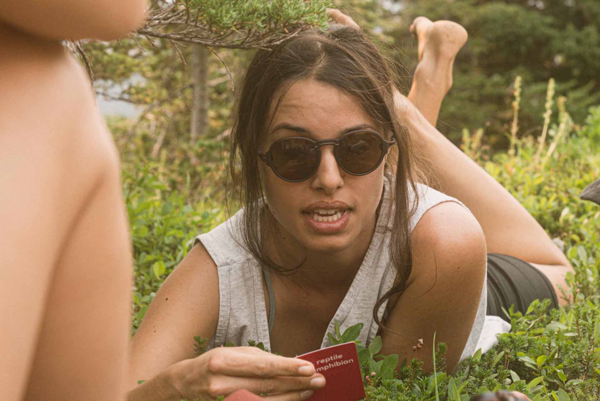 viale_dusk_brown
viale_dusk_yellow