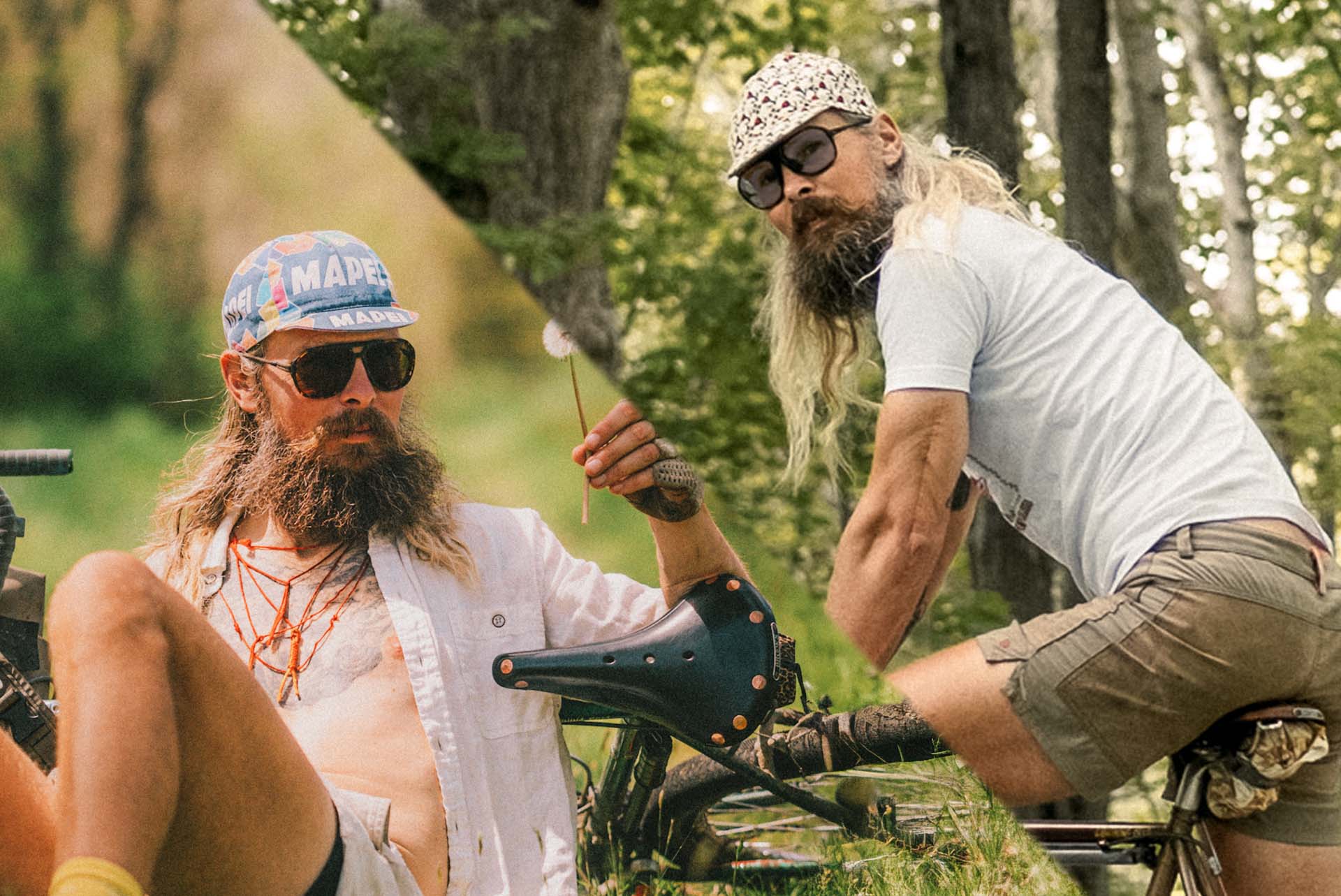 classic_le_tortoise_shields