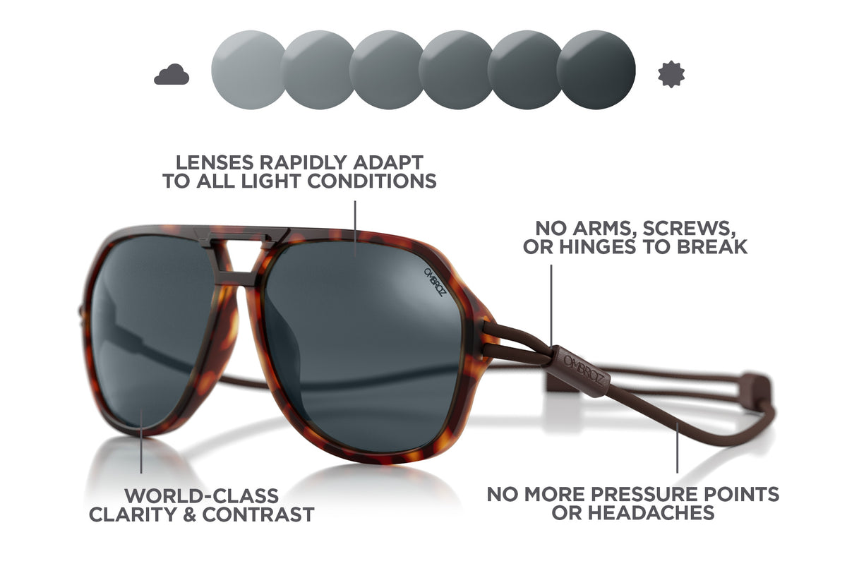 classic_le_tortoise_all basic_f

tortoise_photochromic basic_f
