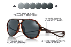 classic_le_tortoise_all basic_f

tortoise_photochromic basic_f