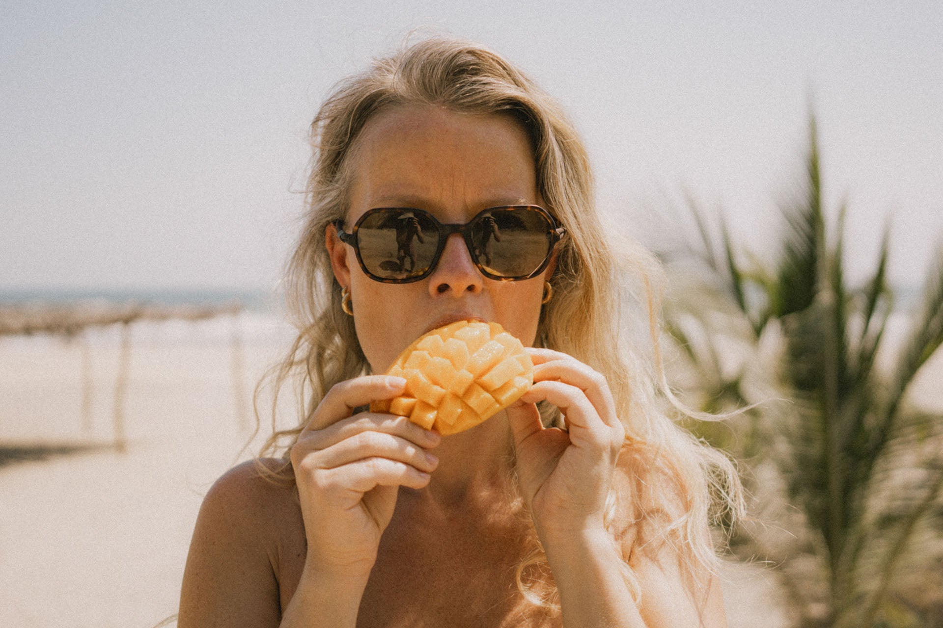 cammina_tortoise_grey