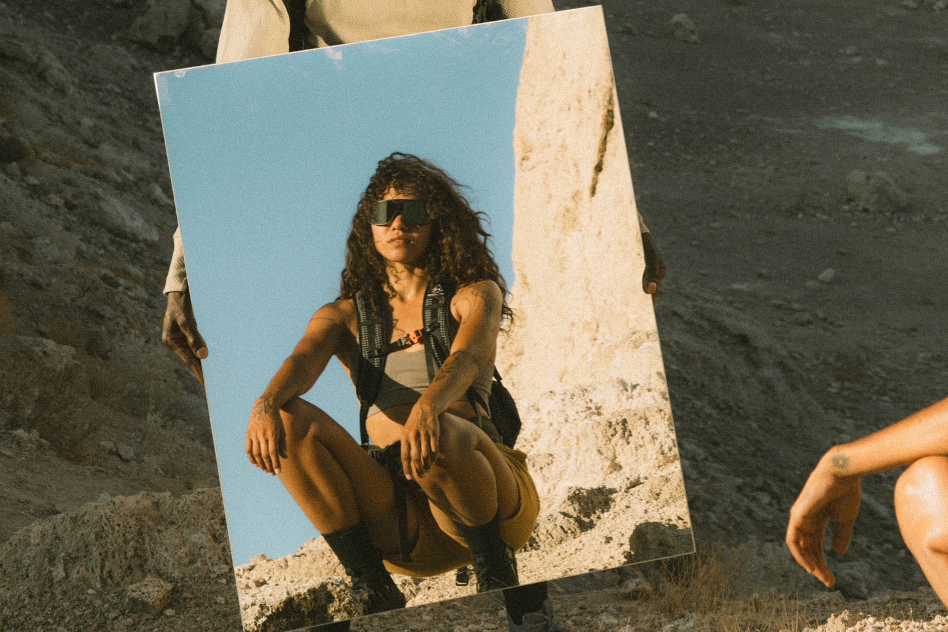 refugio_tortoise_black_mirror