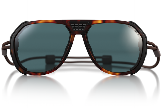 classic_tortoise_grey_shields
classic_tortoise_grey_risers