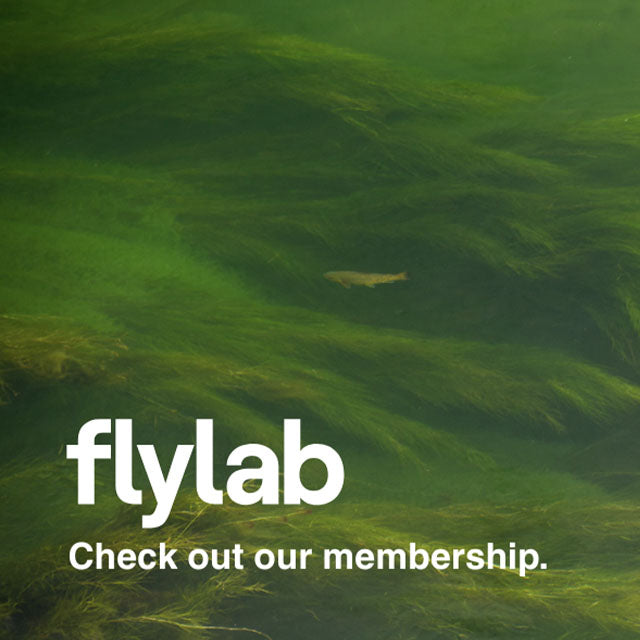 6 Month Substack Membership