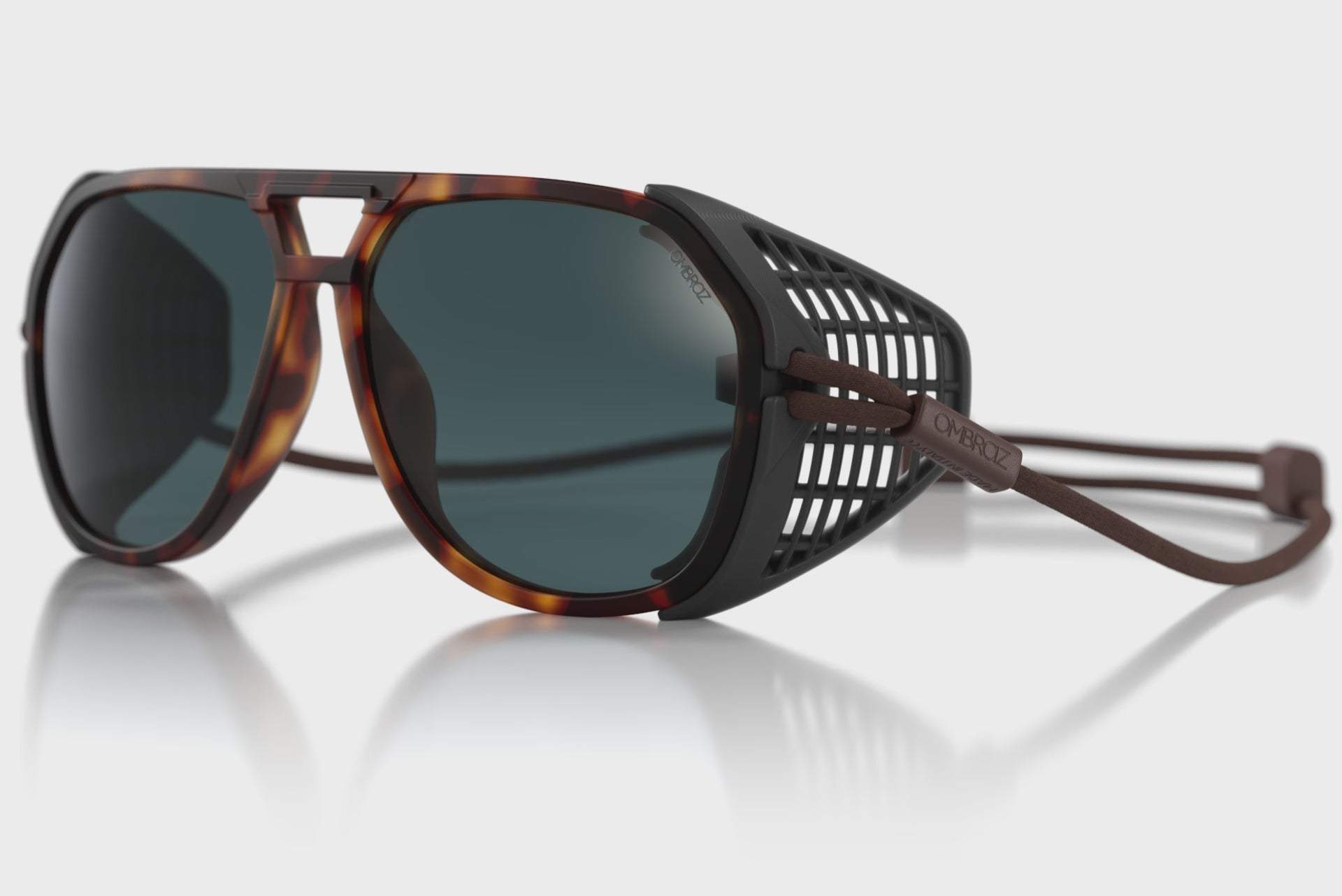 classic_le_tortoise_shields sh_s