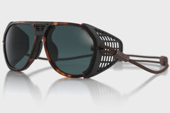 tortoise_photochromic all_shrs