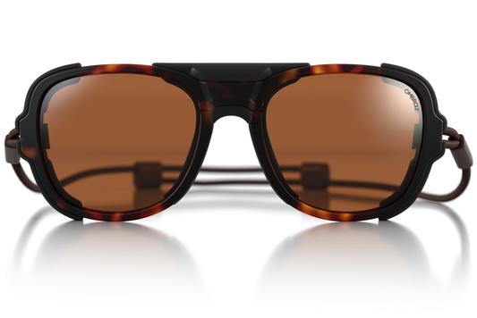 teton_tortoise_brown_shields
teton_tortoise_brown_risers