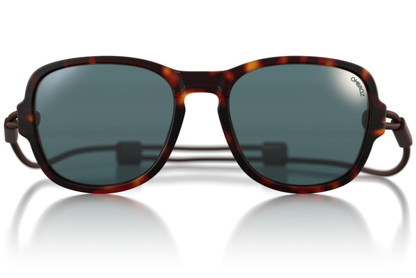 teton_tortoise_grey_visorsOff_